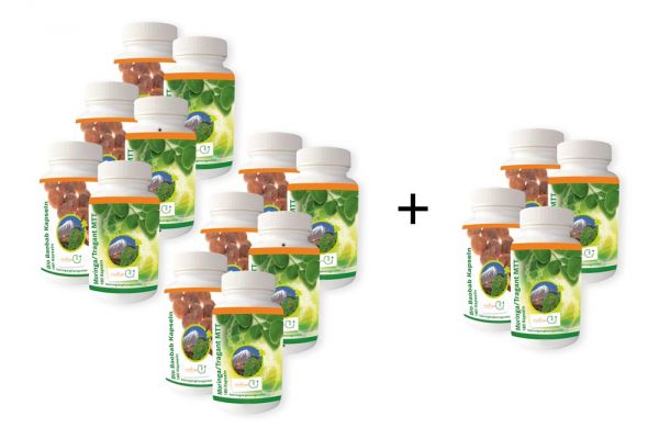 MTT - Moringa/Tragant und Baobab Kapseln