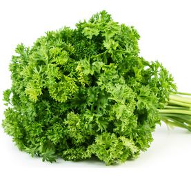 Die Moringa-Petersilie ist anders!