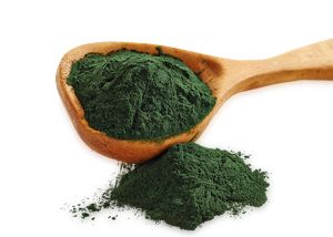 Bio Spirulina Pulver