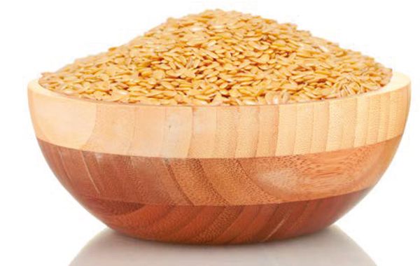 Bio Leinsamen GOLDSTERN