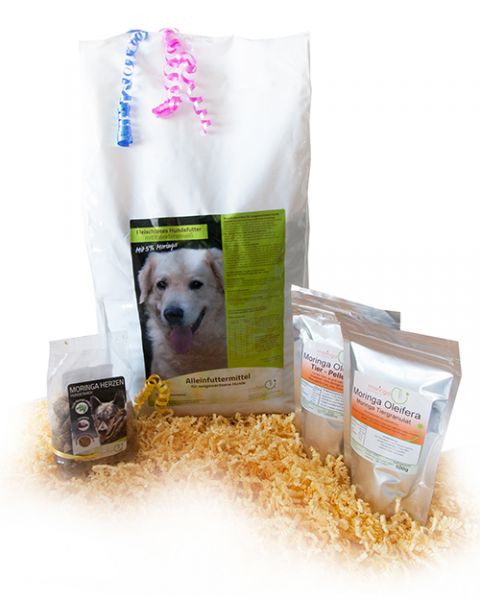 Moringa Tiersparset (Hund)