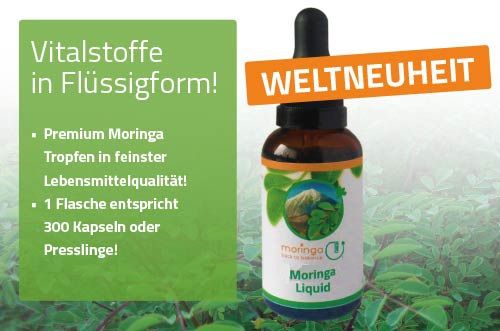Weltneuheit: Moringa flüssig. 600 Tropfen