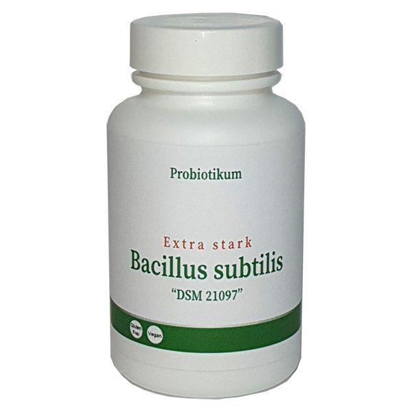 "2" Bacillus s. "extra stark" mit Moringa 3 Monate Packung (Angebot, 2 Dosen)